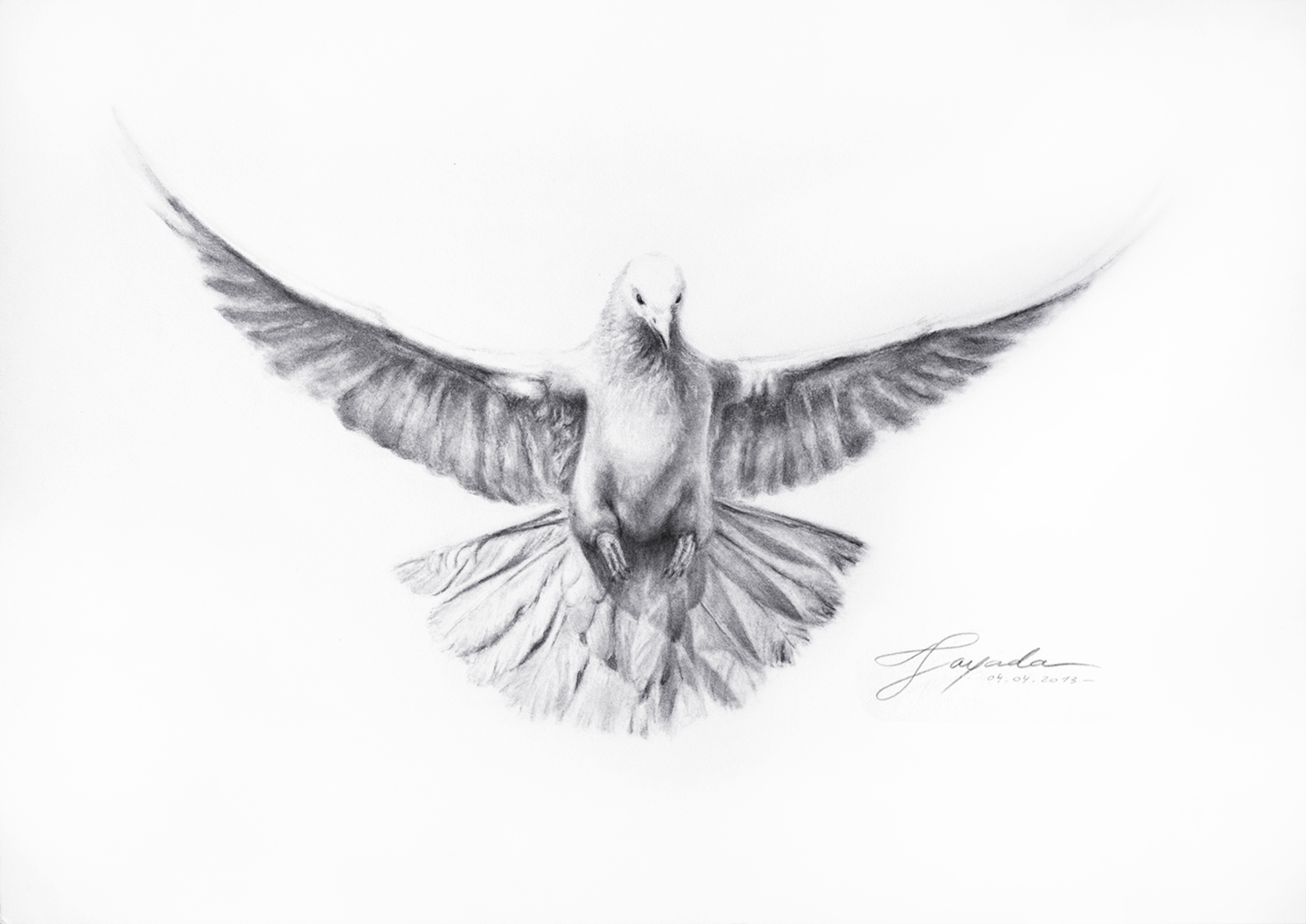 "Dove Totem" Drawing Academy Drawing Academy