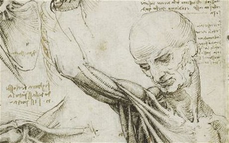 Leonardo da Vinci - the Anatomical Artist - Drawing Academy | Drawing