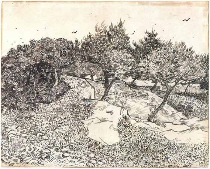 Vincent-Van-Gogh-Tree drawings-6