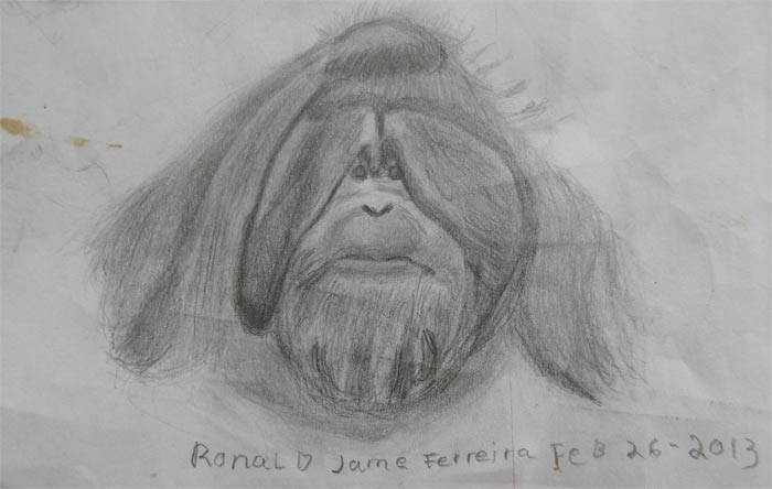 Drawing by Ronald James Ferreira