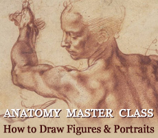Anatomy Master Class - How to Draw Human Figures and Portraits