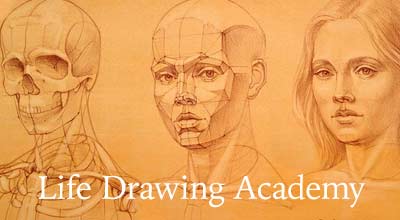 Life Drawing Academy
