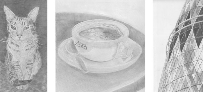 Collayne Mills Silverpoint Drawing