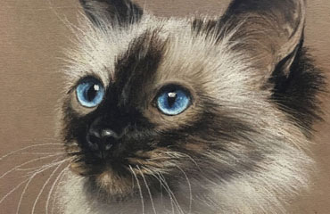 Drawing Academy Students Gallery