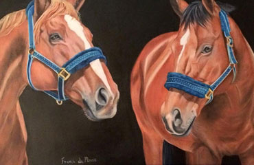 Drawing Academy Reviews