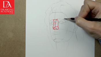 Drawing a Head
