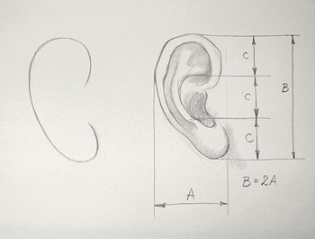 How to Draw an Ear - Video Lesson by Drawing Academy