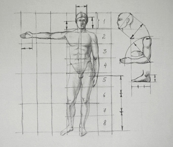 Proportion of the Human Body - Drawing Academy Video Lesson