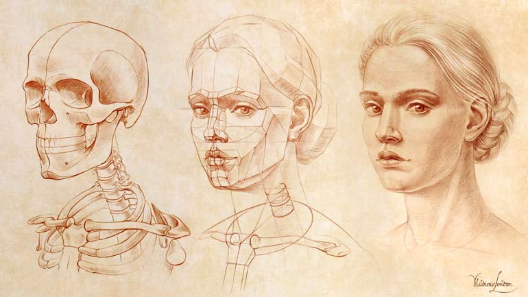 51 Portrait Drawing Rules