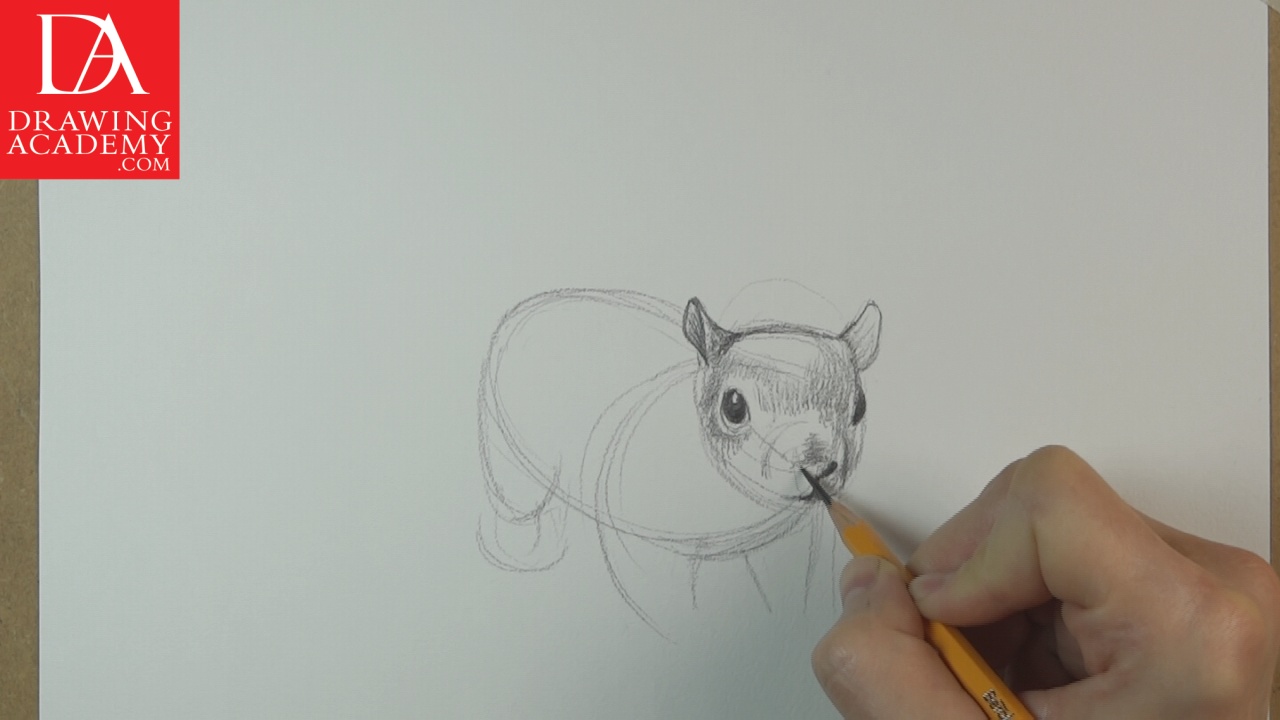 How to Draw Animals - Video Lesson by Drawing Academy | Drawing Academy