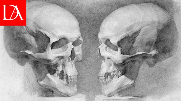 How to Draw a Skull