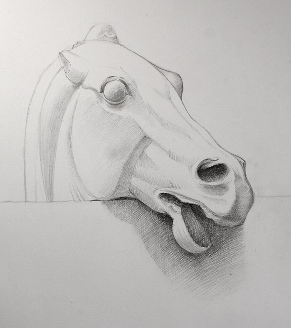 How to Draw a Horse (Head Detail)