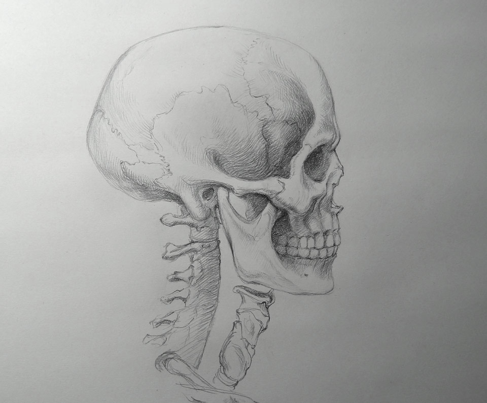 How to Draw a Skull - Video Lesson presented by Drawing Academy