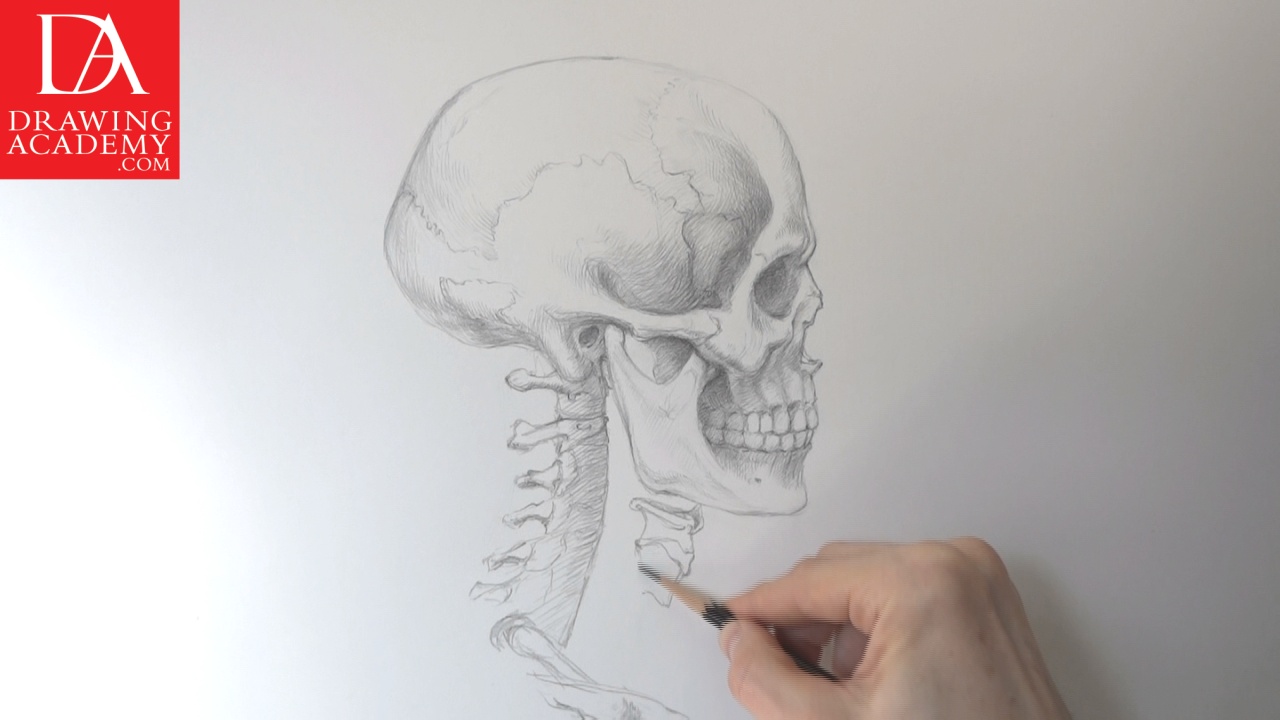 How to Draw a realisticlooking skull  Drawing  Illustration   WonderHowTo