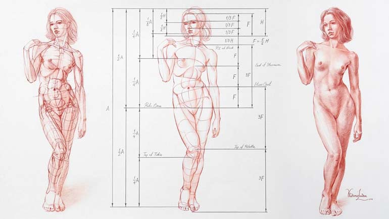 Human Body Proportions in Contrapposto