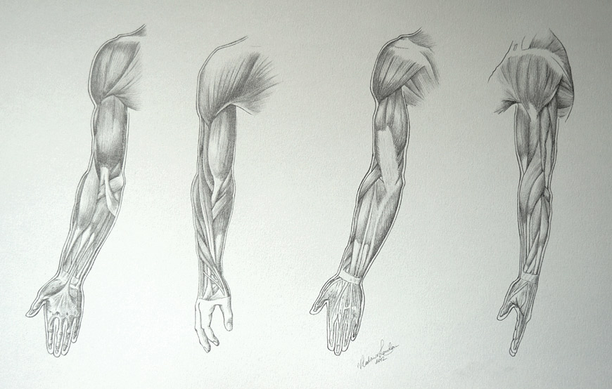 human arms drawing