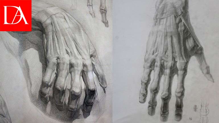 Anatomy of a Hand