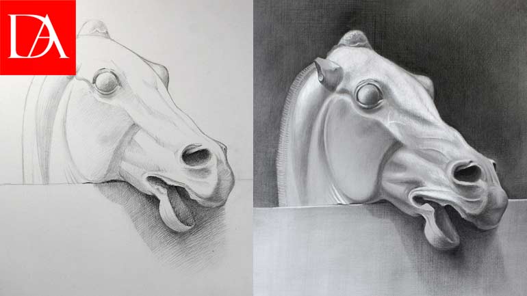 Drawing a Horse