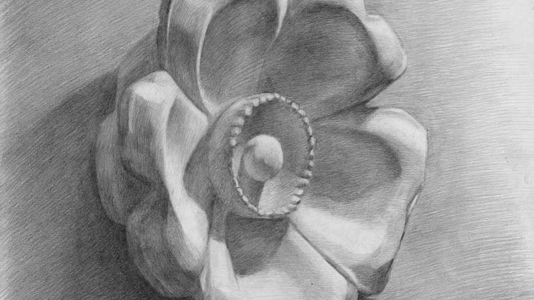 How to develop good pencil hatching skills