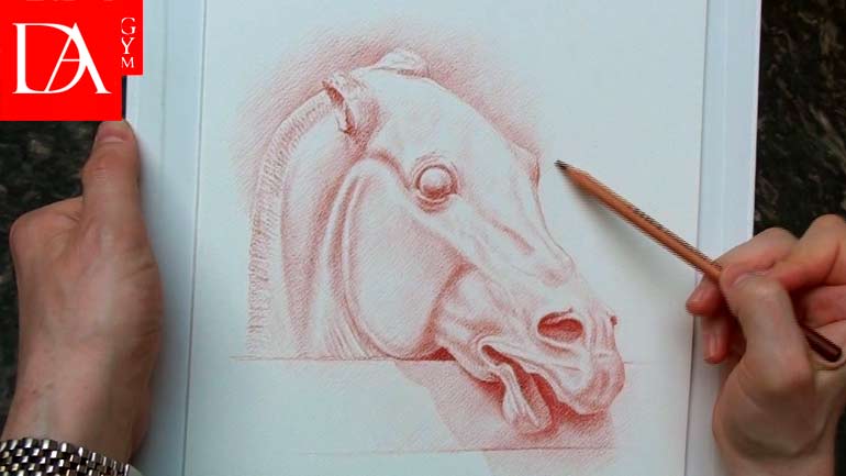 How to Draw a Horses Head