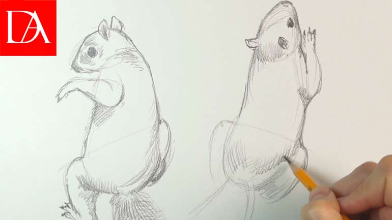 How to Draw Animals - Squirrels