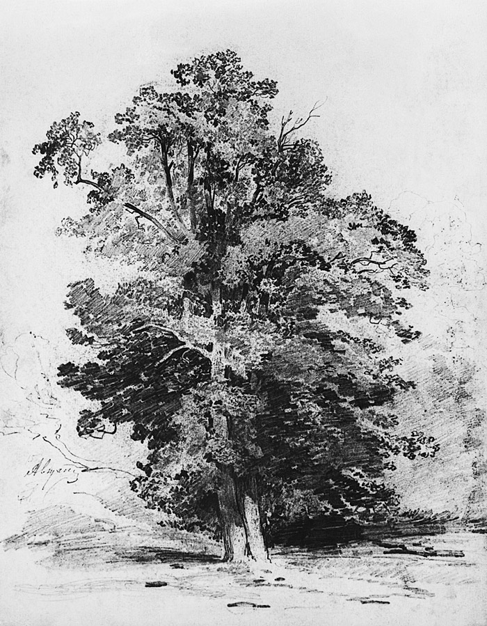 tree-drawing