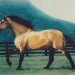 Horse Licour