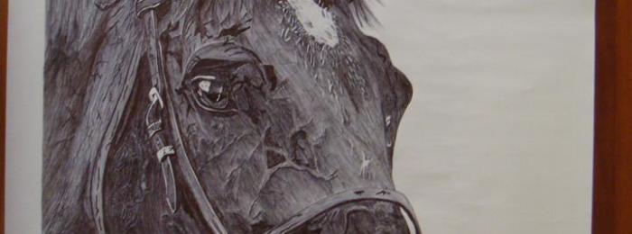 Horse – Pen Drawing