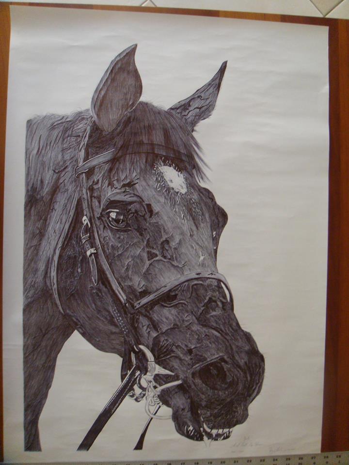 Horse - Pen Drawing