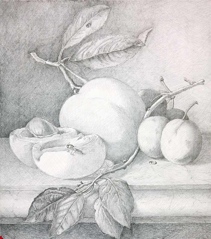 Preparatory Drawing for Flemish style painting