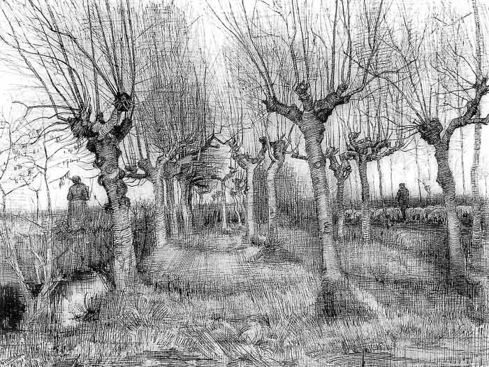Vincent-Van-Gogh-Tree drawings
