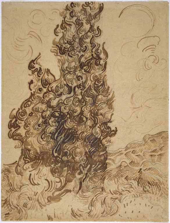 Vincent-Van-Gogh-Tree drawings-9