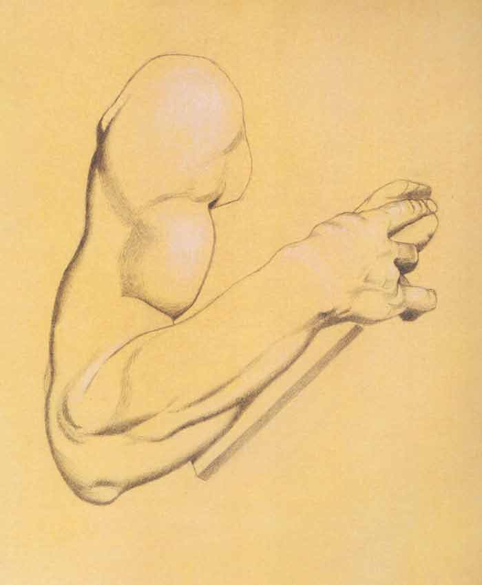 Artwork by Ronnie Rayner Larter