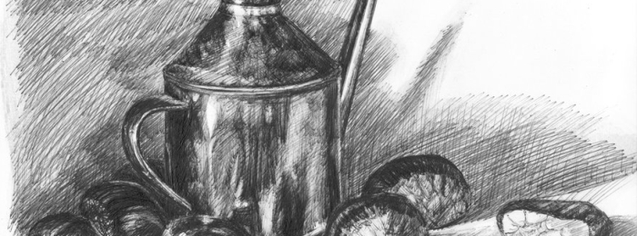 6 Easy Steps to Draw a captivating Still Life