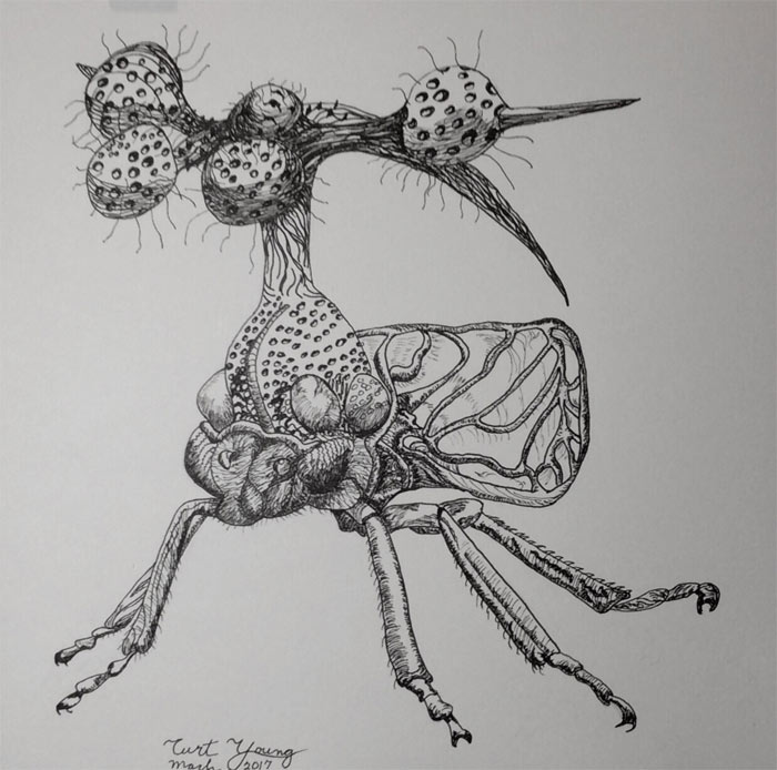 Artwork by Curt, Drawing Academy student