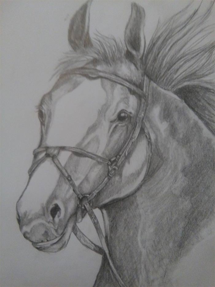 Drawing by Fredrika Nel