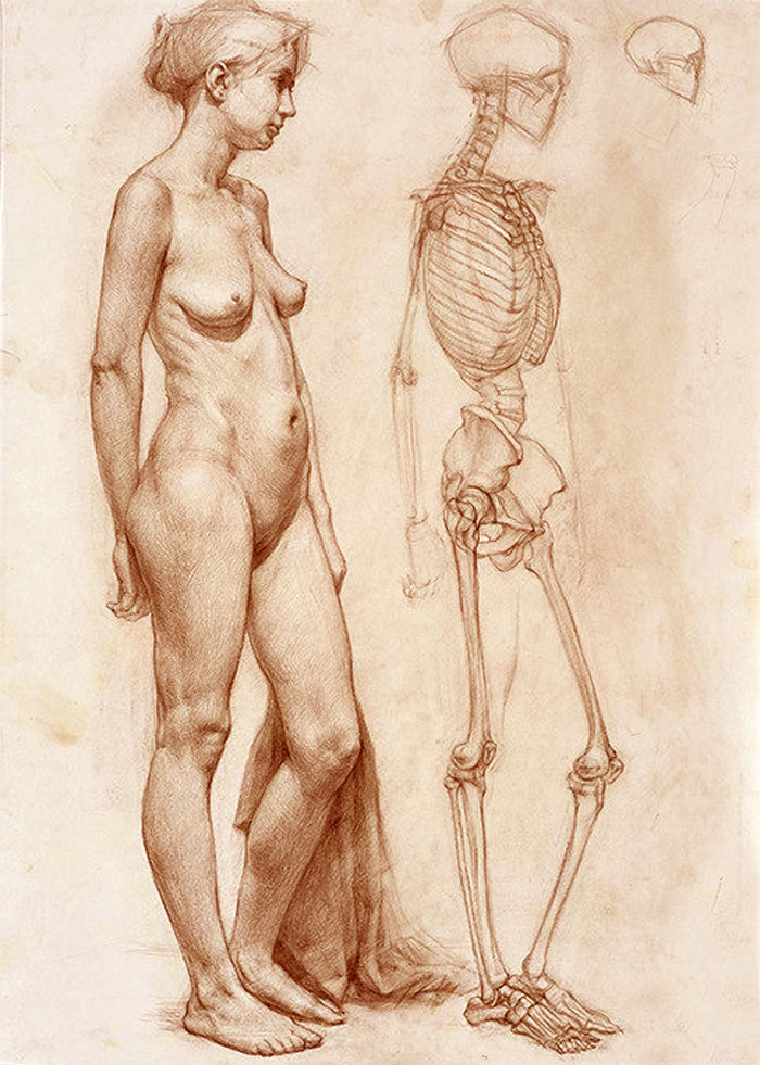 Anatomy and Figurative Drawing