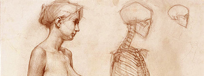 Masterclass of Drawing: Figure Anatomy, Characters & Animals