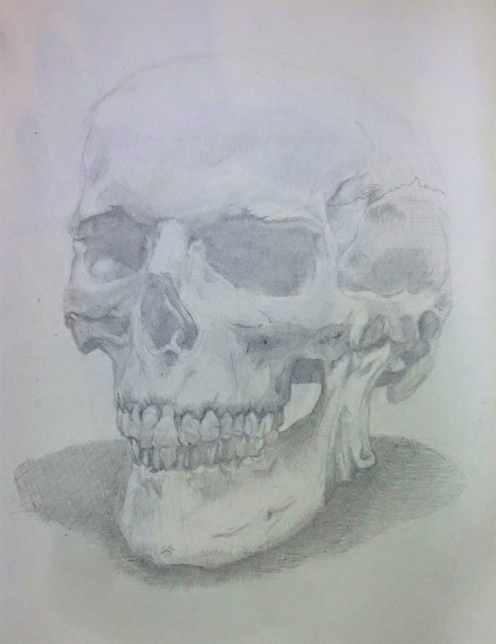 Anatomical sketches by Danielle Hebert, Drawing Academy student