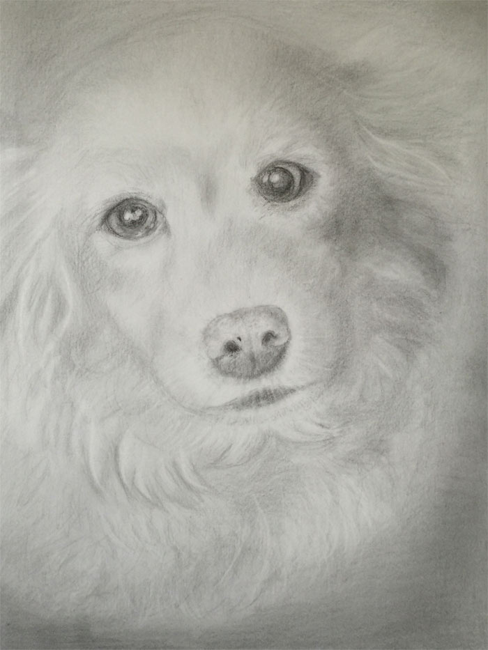 Artwork by Amy, Drawing Academy student