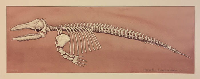 Artwork by Ed, Drawing Academy student