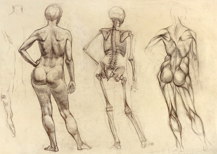 How to get the most out of a life-drawing class