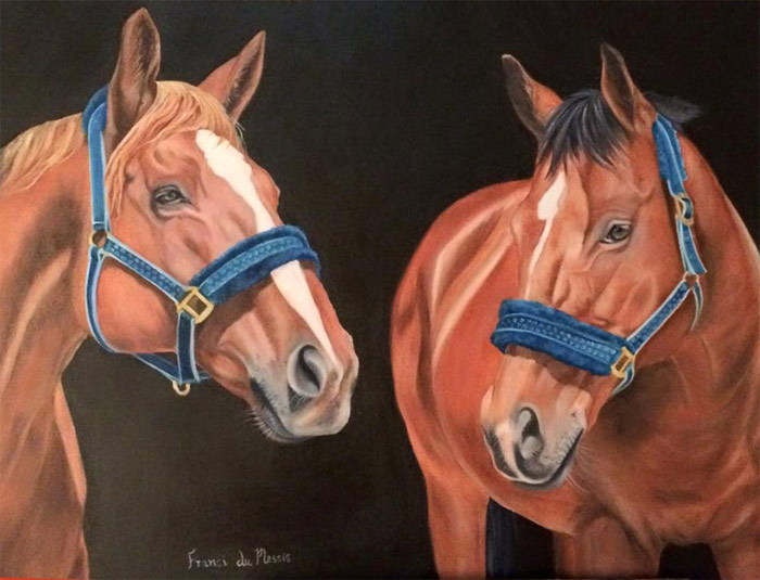 Drawing Academy review by Dranci du Plessis