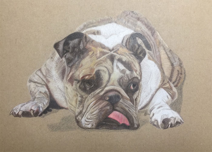 Drawing by Julia Hodgkins