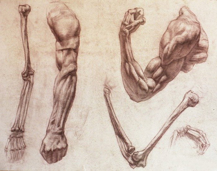 What is life drawing and how to prepare for it?