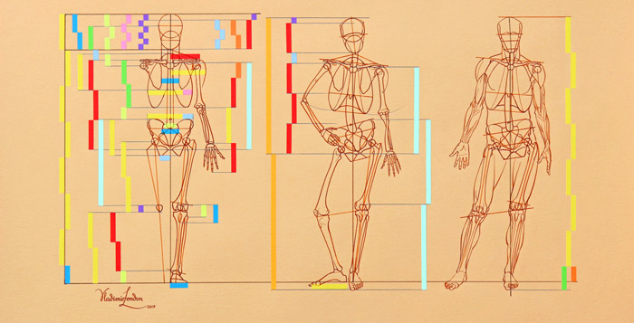 Figure Drawing - The 3 Main Masses Of The Body - Design Cuts