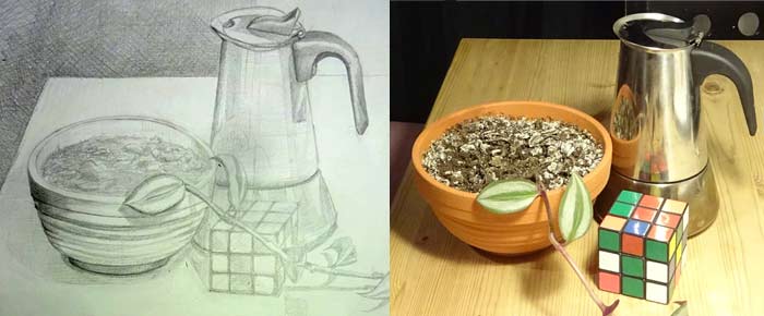 Still-life Drawing Critique