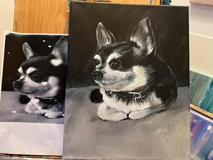 Pet Portraits