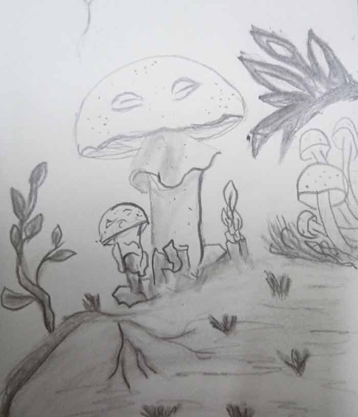 I want to learn how to draw