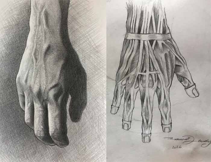 Anatomy Drawings by Roossevelt